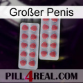 Großer Penis 19